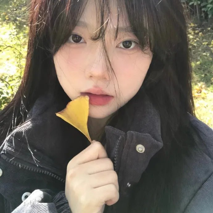 自杀小队